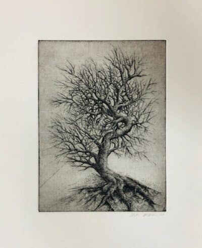 Tree Etching on Paper by William McMahan 6"x8"